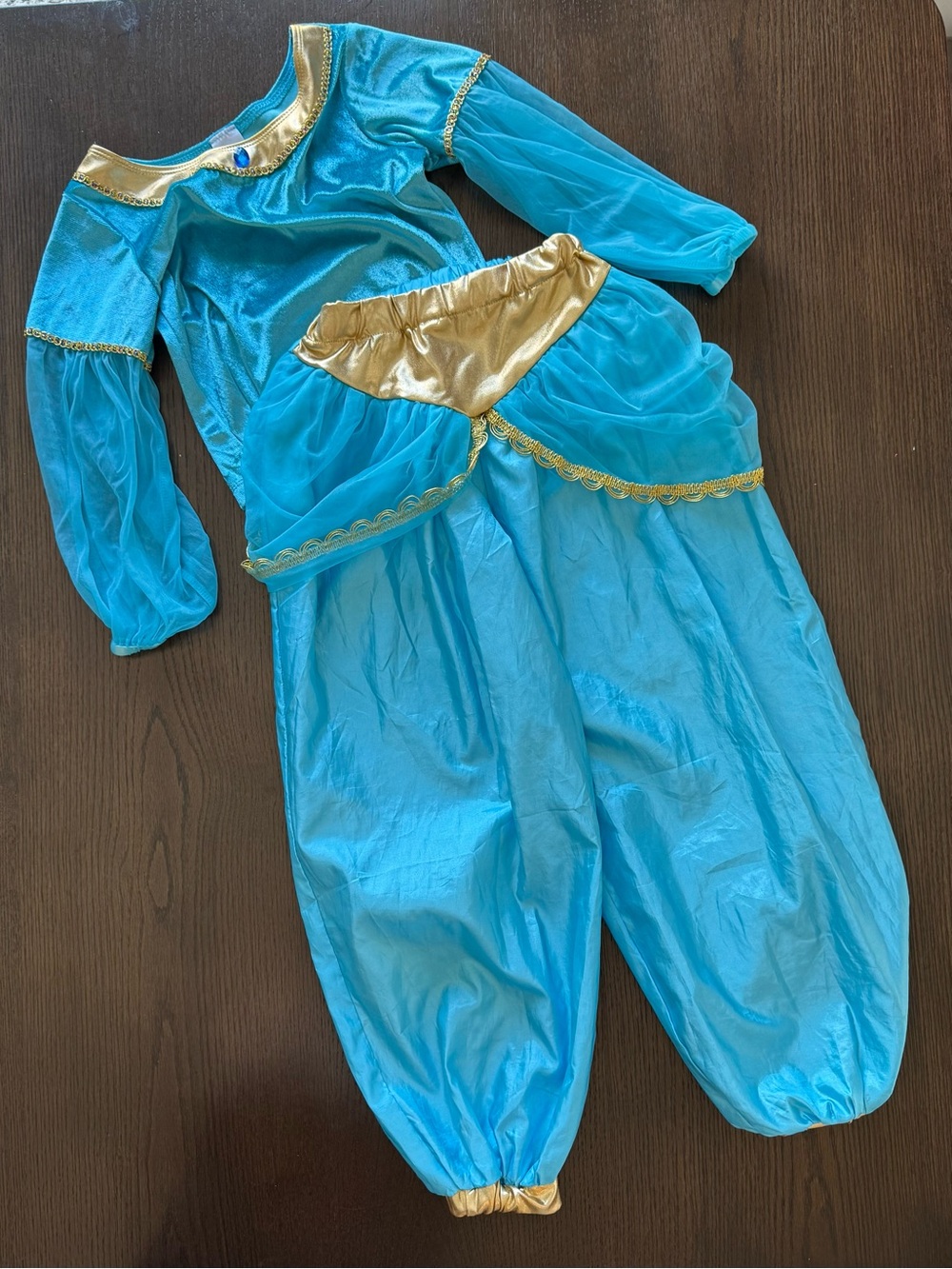 Little Adventures Oasis Princess Costume